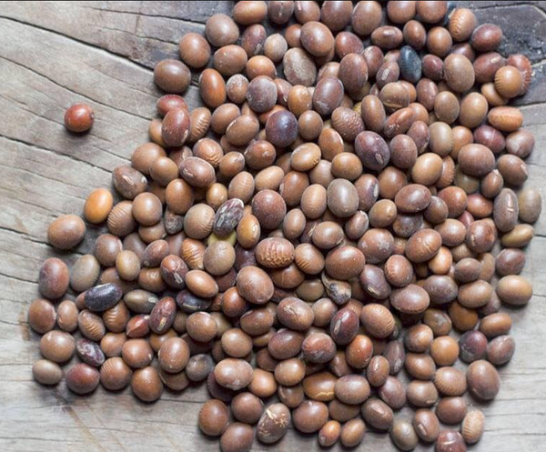 Local Bhatta -1kg